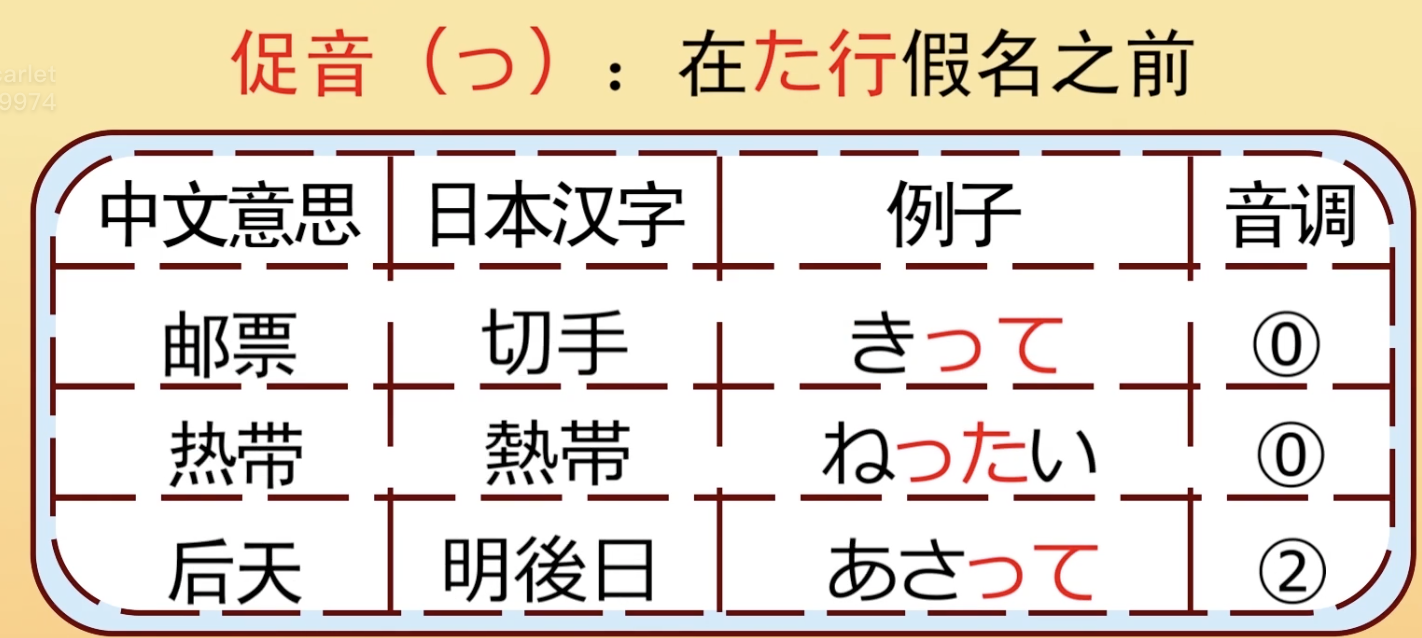 截屏2023-04-19 16.55.31